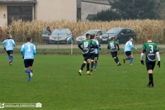 DSCN7938