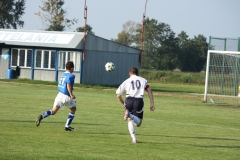 Obraz-214