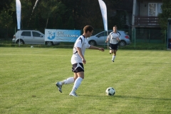 Obraz-252