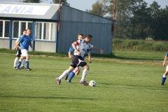 Obraz-255