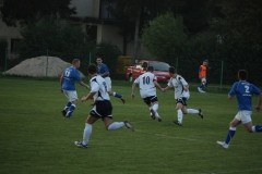 Obraz-306