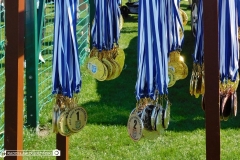 DSCN9565